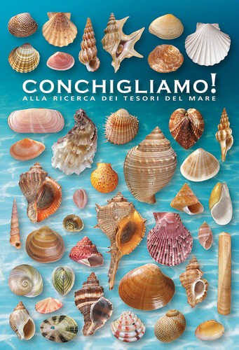 Conchigliamo libro illustrato - conchigliamo!,