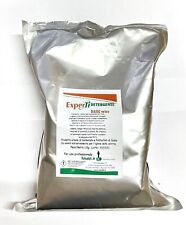 DETERGENTE BASIC VETRO KG.1