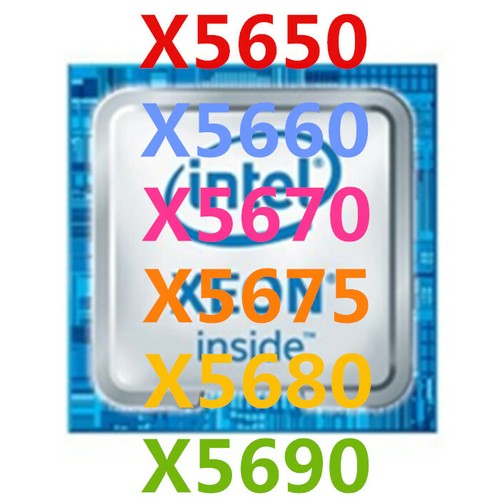 Processori intel xeon - processori, x5650