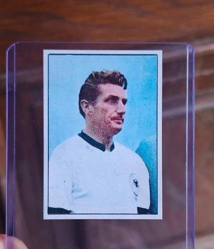 Album calciatori panini - album,