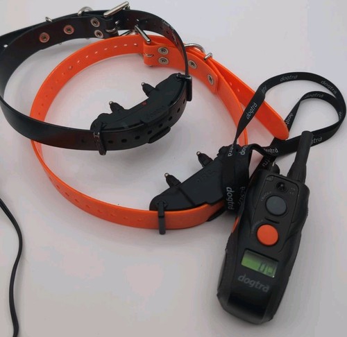 Dogtra arc professional 4 - dogtra, 3/4