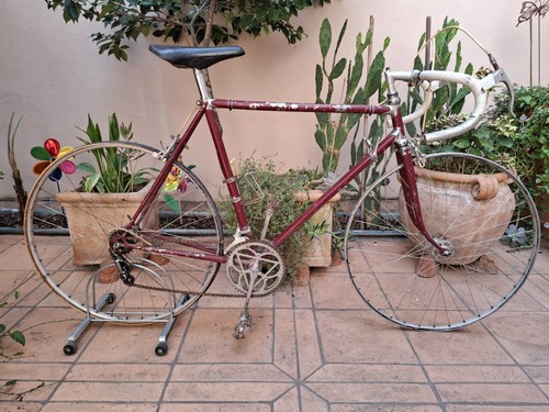 Bianchi campione del - campione,