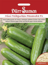 Mini cetrioli passandra F1 ⁮