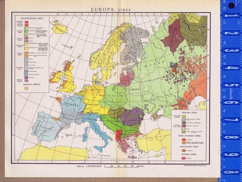 Inserto mappa svedese vintage