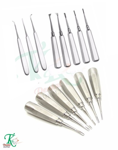 Dentistico molare radice - molare,