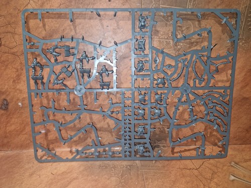 Warhammer 40k guerrieri - warhammer, x