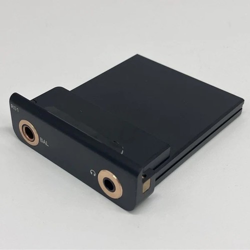 Scheda madre audio - cayin, r01