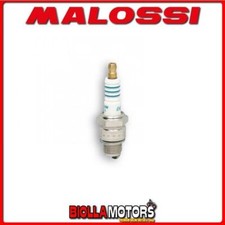 6314454.L0 CANDELA MALOSSI