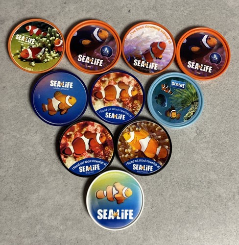 10x merlin pass clown - clown, fish