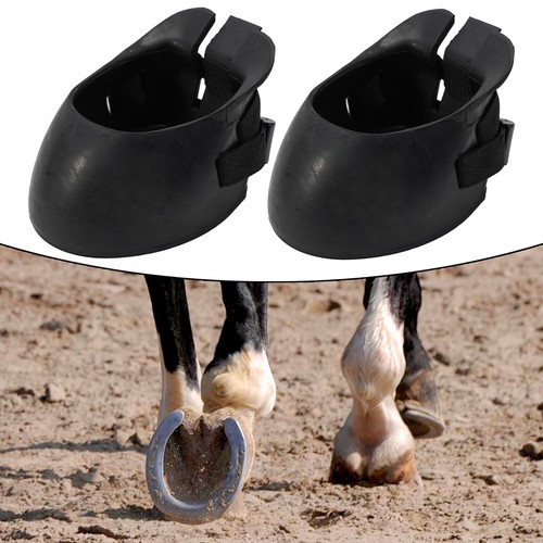 Professionale cavallo zoccolo - professionale,