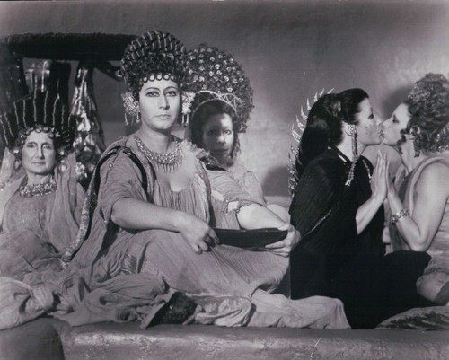 Foto vintage 8x10 - vintage,