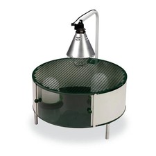 Pulcinaia per Pulcini