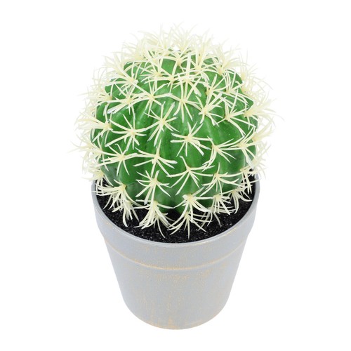 Bonsai cactus artificiale - cactus,