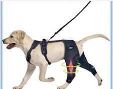 Ginocchiera cane con lesioni