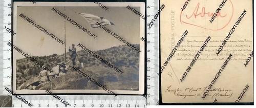 190206 coloniale gen m - coloniale,