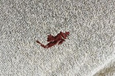 Maglione classico scollo a V