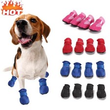 Scarpe Casual Per Animali