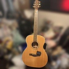 Greg Bennett acustica