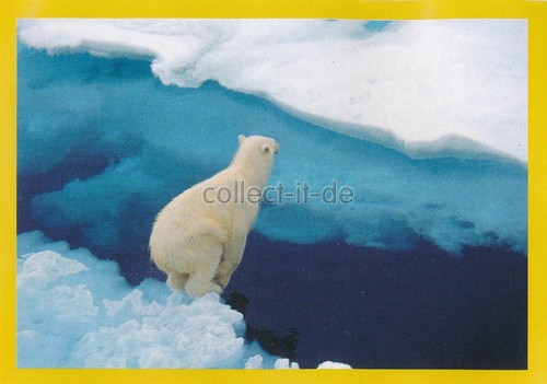 Panini national geographic - panini,
