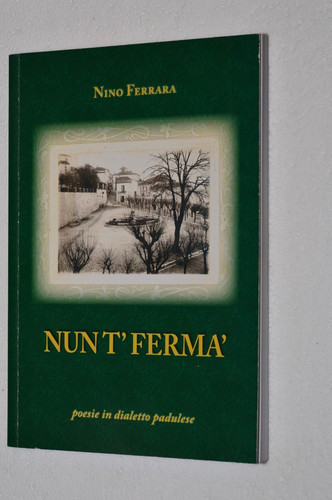 Poesie dialetto - poesie,