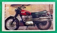 Triumph daytone 500 - 48,