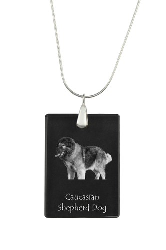 Cane pastore del caucaso - cane, da