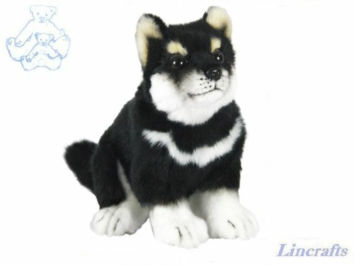 Hansa shiba cucciolo cane - cucciolo, 7249