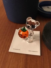Swarovski Kris Bear A Pumpkin For You Halloween 5223252 Boxed