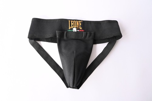 Conchiglia protettiva leone - conchiglia,