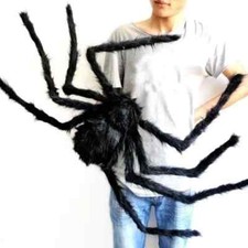 Halloween Ragno per
