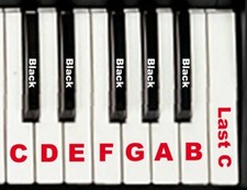 Chiave di ricambio per Korg