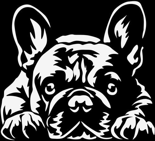 Adesivo bulldog francese - adesivo,