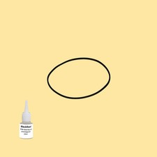 Cinghia Olio = Kit 5 per