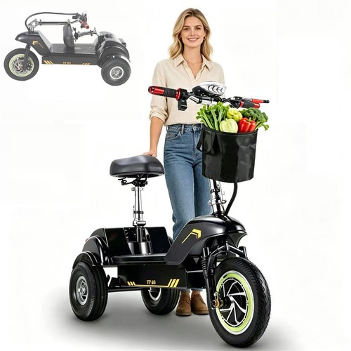 Triciclo elettrico twofish - elettrico,