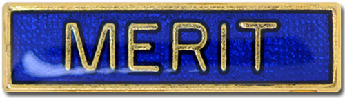Distintivo spilla bar merit - spilla,