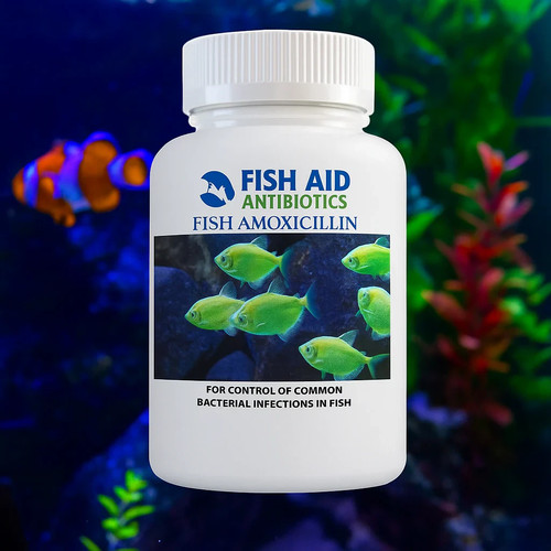 Aqua fish for - fish,