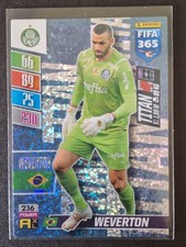 Weverton #236 Titan Palmeiras