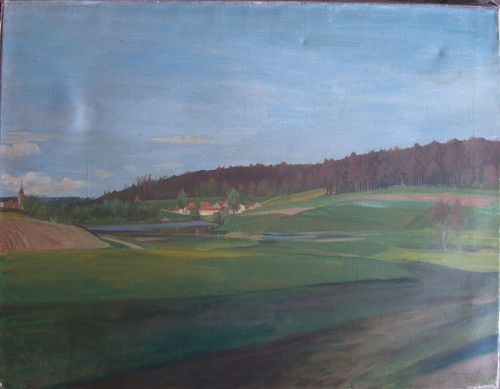 Campi prati dipinto olio - e,