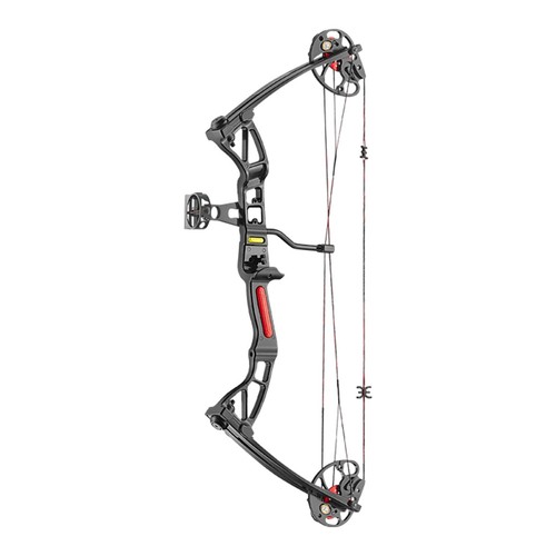 Archery rex arco composto - arco,