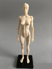 Manichino artistico 30 cm