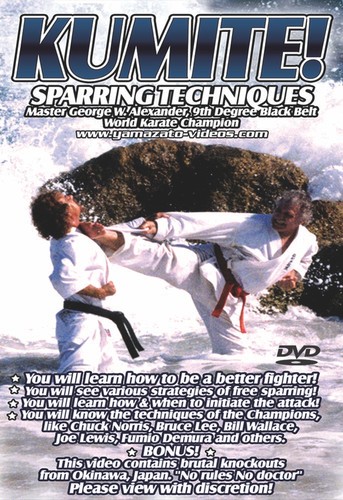 Karate kumite sparring - kumite,