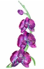 SWAROVSKI 5243561 - Orchidee / Paradise Flowers Orchids Fuchsia Rain - cm 17