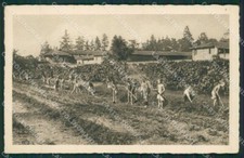 Varese Olgiate Olona PIEGHINA