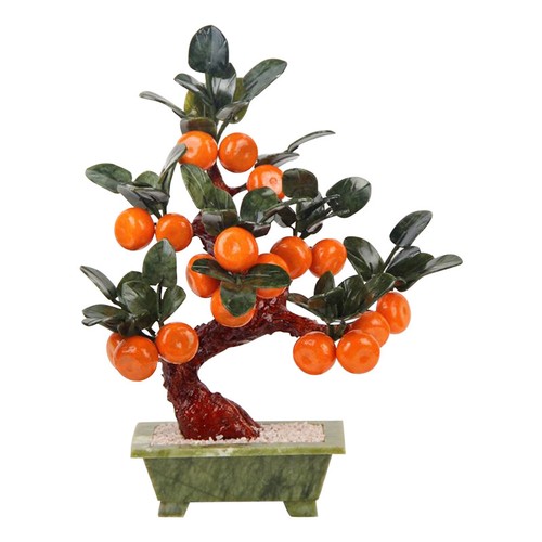 Bonsai mandarino giada - bonsai, di