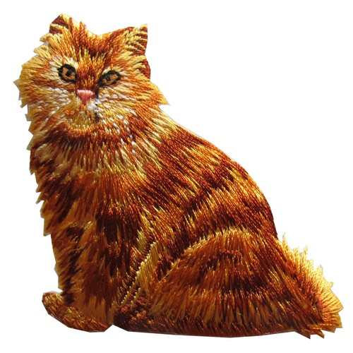 3794 main coon - #3794, gatto