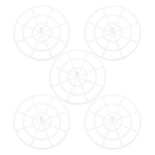 5 Pezzi Pressa per Verdure Fermentazione Peso Fermentazione Rete Pressa Aiuto