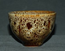 Vecchia dinastia canzone