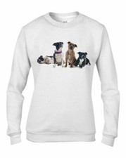 Staffordshire Bull Terrier