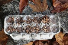 stufa a legna avviamento fuoco