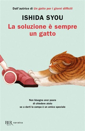 Libro nuovo ishida syou - ishida,